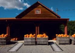 Ella Rug 70x225 Cm, Black/Vanilla -Exterique Sales Store pappelina ella rug black vanilla 2 1