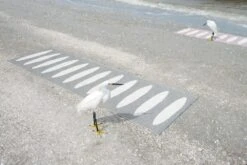 Ella Rug 70x150 Cm, Black/Vanilla -Exterique Sales Store pappelina ella rug black vanilla 3